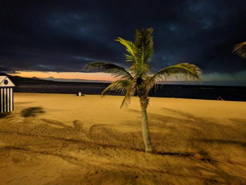 Playa Las Canteras