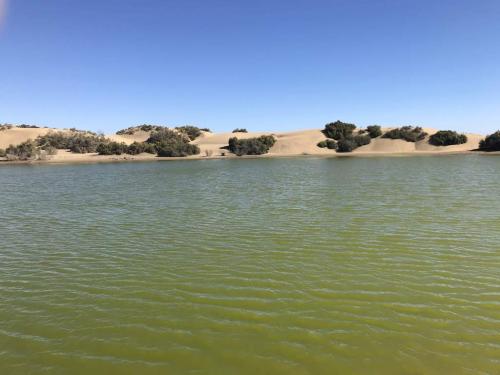 Maspalomas