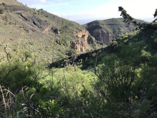 Caldera de Bandama