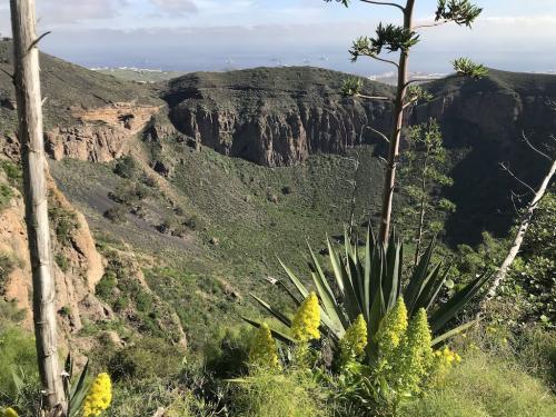 Caldera de Bandama